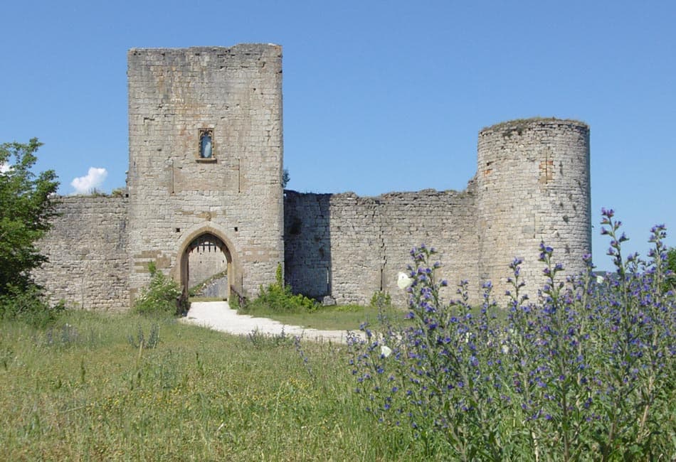 Le Château de Puivert