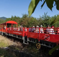 Train Rouge Velorail