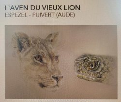 Aven du Vieux Lion